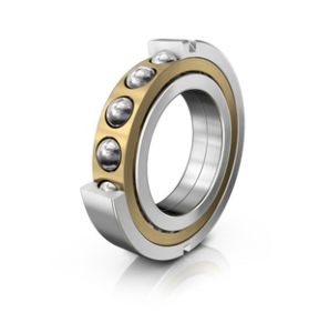Four Point Contact Ball Bearing